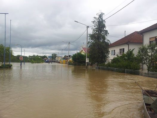 Tukovi , pokraj benziske pumpe